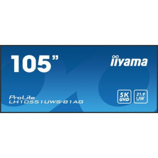 IIYAMA 105 UW 5120x2160 UW5K ips HDMI DP USB-C